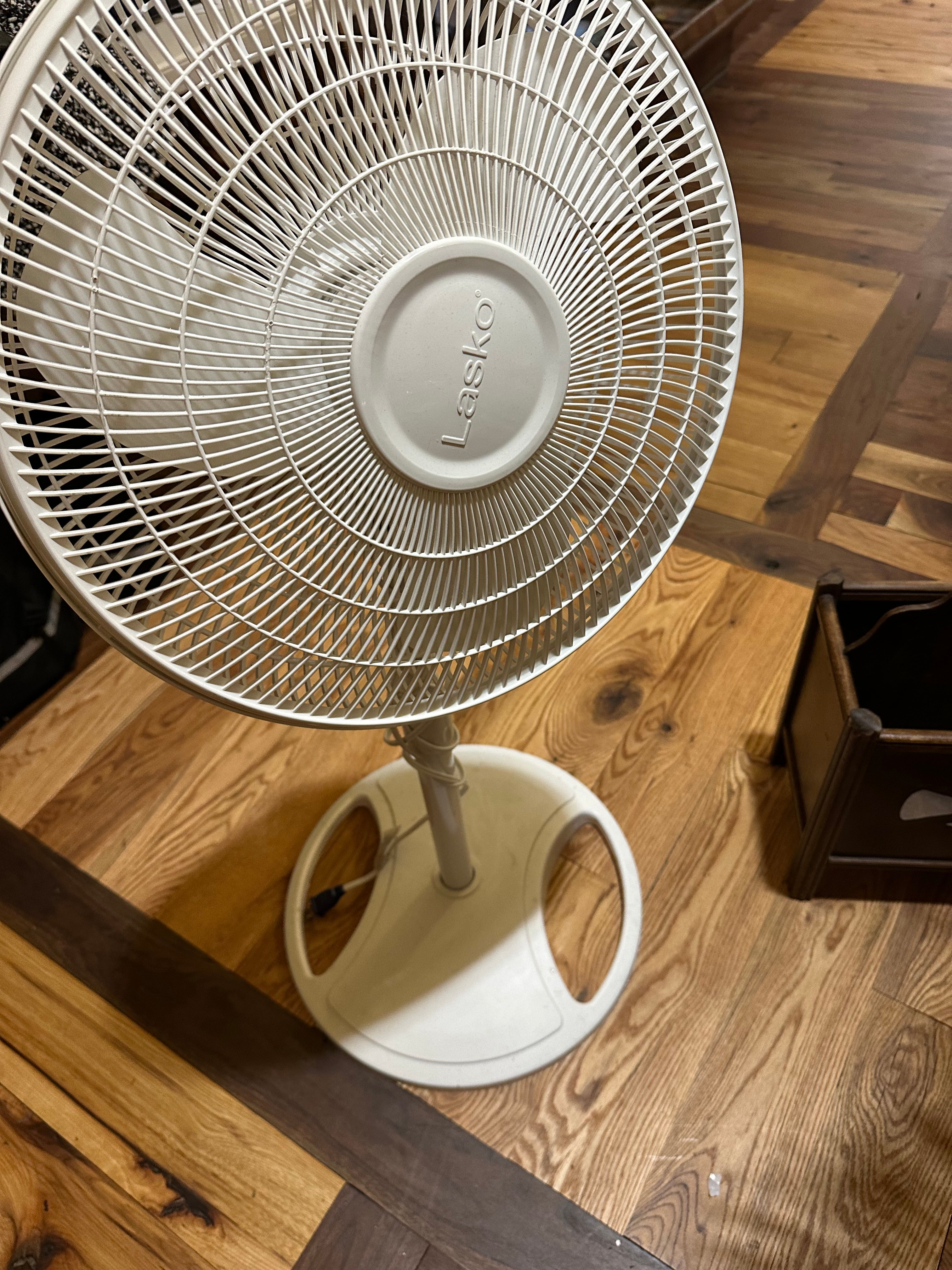 White Lasko oscillating standing fan