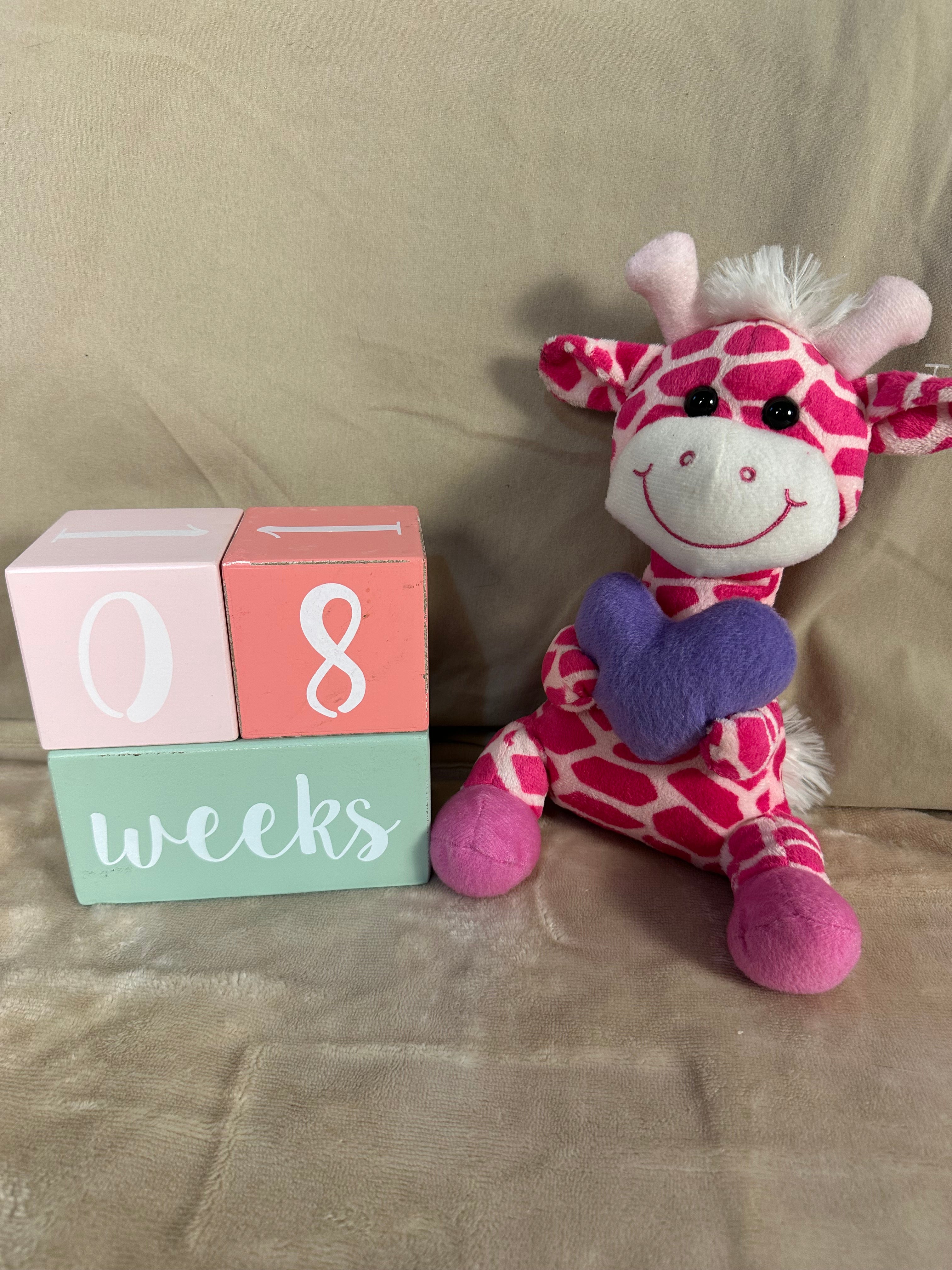 Adorable giraffe and block set for baby girl
